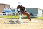 SBM_001904