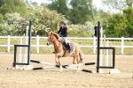SBM_006619