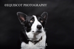 equiscot2031