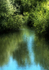 13th May River Frome