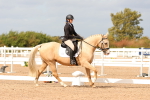 SBM_03748