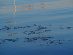 P11907850763