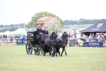 SBM_07075
