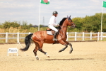SBM_006689