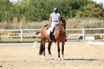 SBM_003284