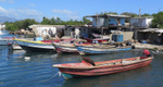 Fishing boats