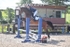 BPP_4431