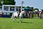SBM_03803
