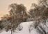 Snow & Alpenglow