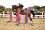 SBM_024460