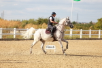 SBM_007878