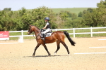 SBM_008639