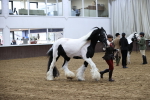 SBM_5646