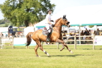 SBM_08978