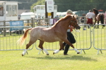 SBM_00645