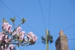 Tuesday 7th April 2009