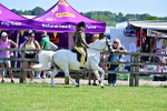 SBM_13954