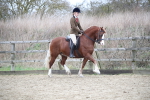 SBM_006304