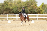SBM_002911