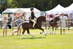 SBM_15783