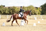 SBM_008853