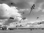 Kite Festival 003