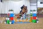 SBM_003063