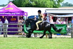 SBM_14004
