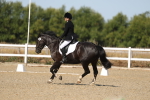 SBM_012847