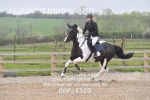 BPP_4319