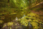 Lathkill Dale River