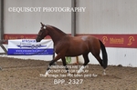 BPP_2327