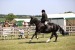 SBM_17876
