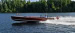 Whippet23-3135