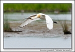 190529-untitled-8E0A4062-Edit