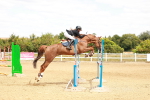 SBM_006031