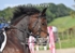 BPP_7876