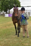 Class 109 - Retraining of Racehorses in Hand portfolio