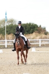 SBM_019336