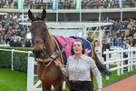 151124-Race 3-Paddock-Edwardstone-7575