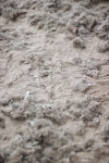SBM_003425