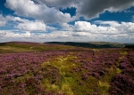 Bradfield Moors
