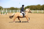 SBM_000970