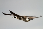 20110319-IMG_2475