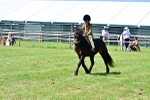 SBM_06097