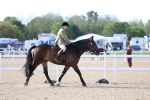 SBM_16857