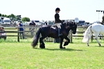 SBM_07874