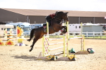 SBM_004360