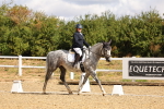 SBM_003693