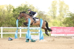 SBM_004561